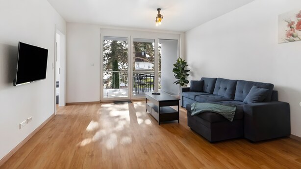 A modern living room with a flat-screen TV, a dark-colored sofa, a small table, and a potted plant.