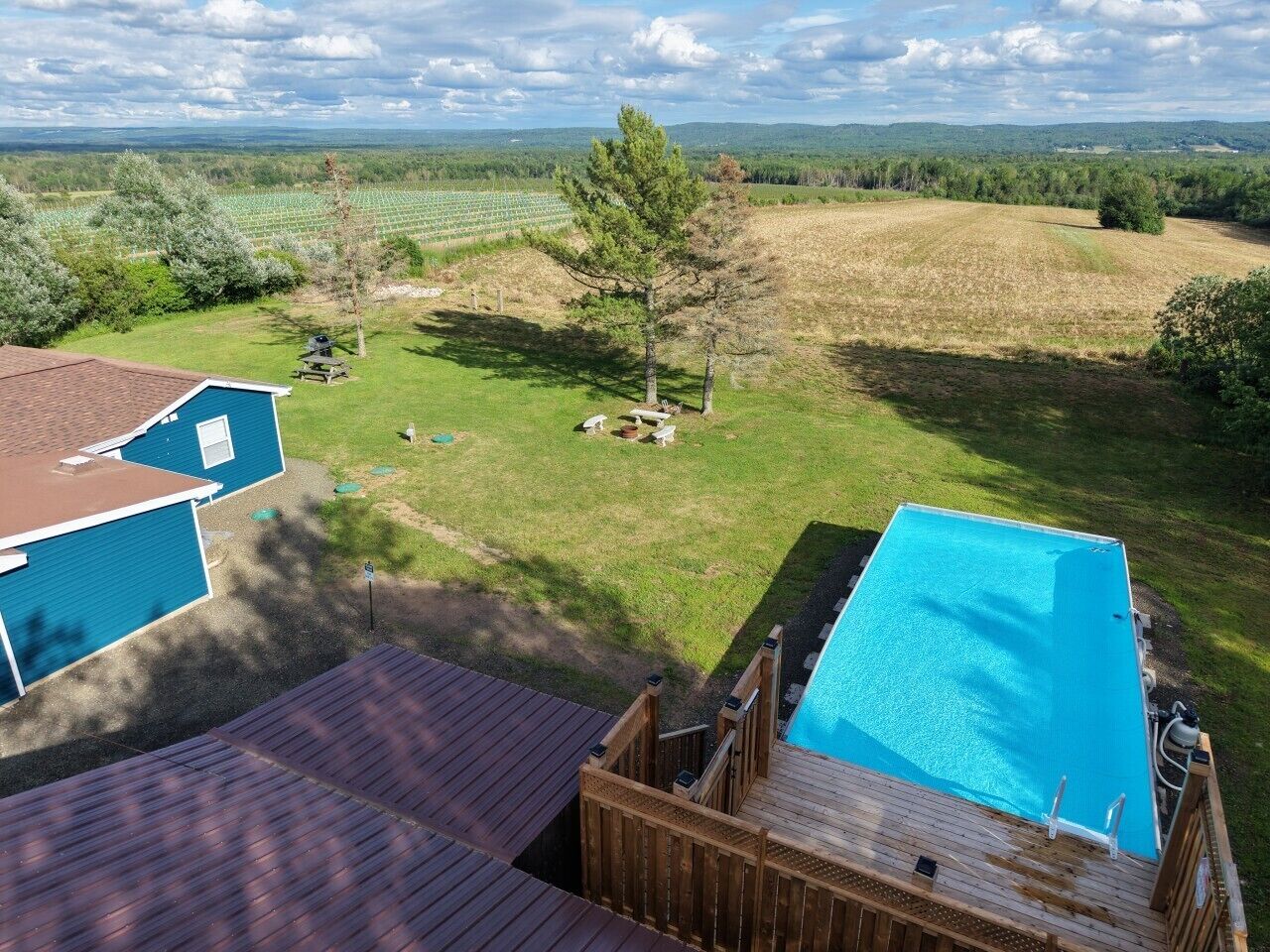 Ein Garten mit Schwimmbad, einer Holzterrasse und einem Haus.