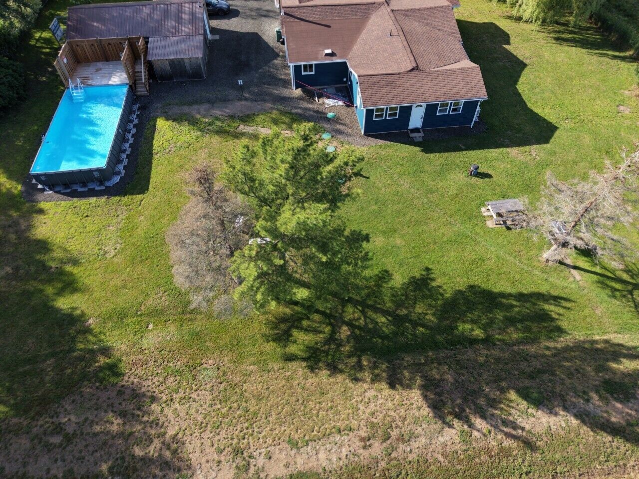 A residential property with a swimming pool, a detached garage, and a large tree in the yard.