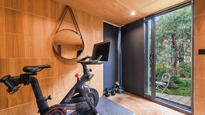Une pièce moderne équipée d’un vélo d’appartement, d’un miroir et offrant une vue sur un jardin grâce à une porte vitrée.