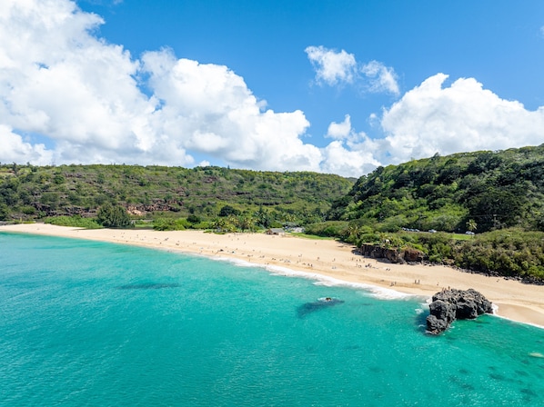 Apartment, 1 Bedroom | Beach