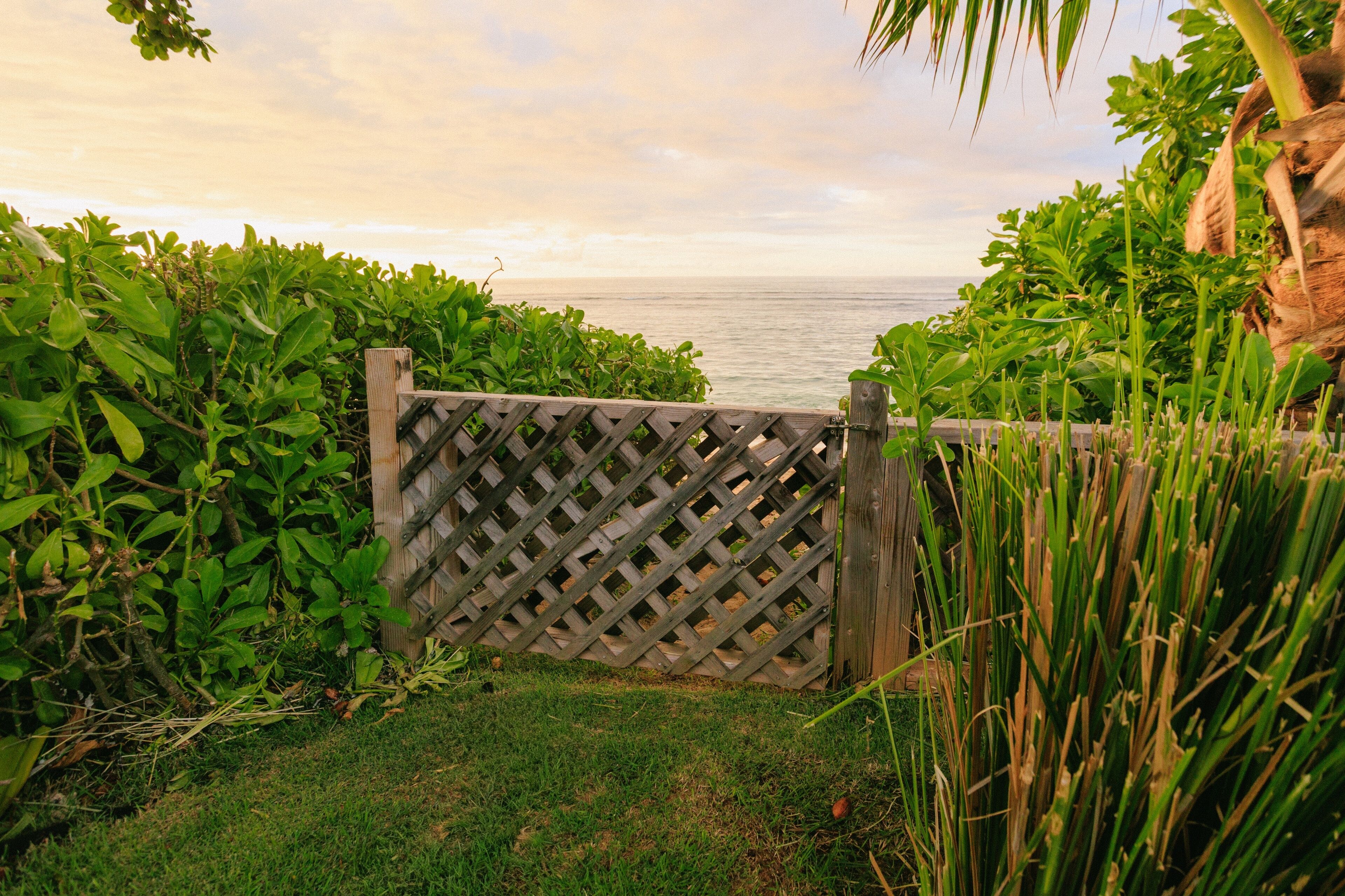 公寓, 1 间卧室 | 住宿场地