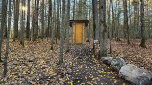 A forest path leading to a wooden cabin with a door, surrounded by trees and fallen leaves. - The Rustic Treehouse Hideaway-cozy treehouse retreat in Northern Ontario (Corbeil)