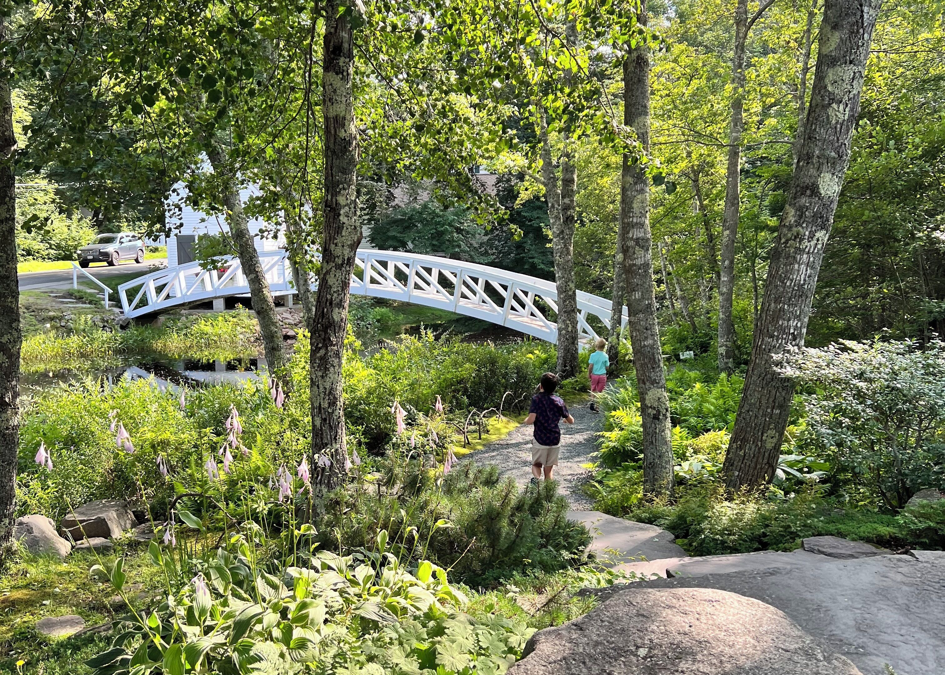A pathway leading to a white bridge in a lush garden setting.