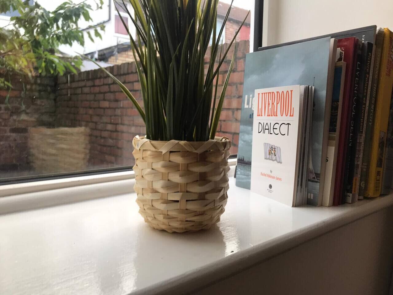 Een gevlochten mand met een plantje op een vensterbank, naast een boek getiteld 'Liverpool Dialect' van Michael Hines.