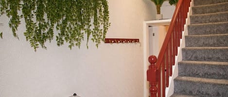 Uma escada com corrimão vermelho e degraus carpetados, uma planta fixada na parede e um ornamento geométrico na parede.