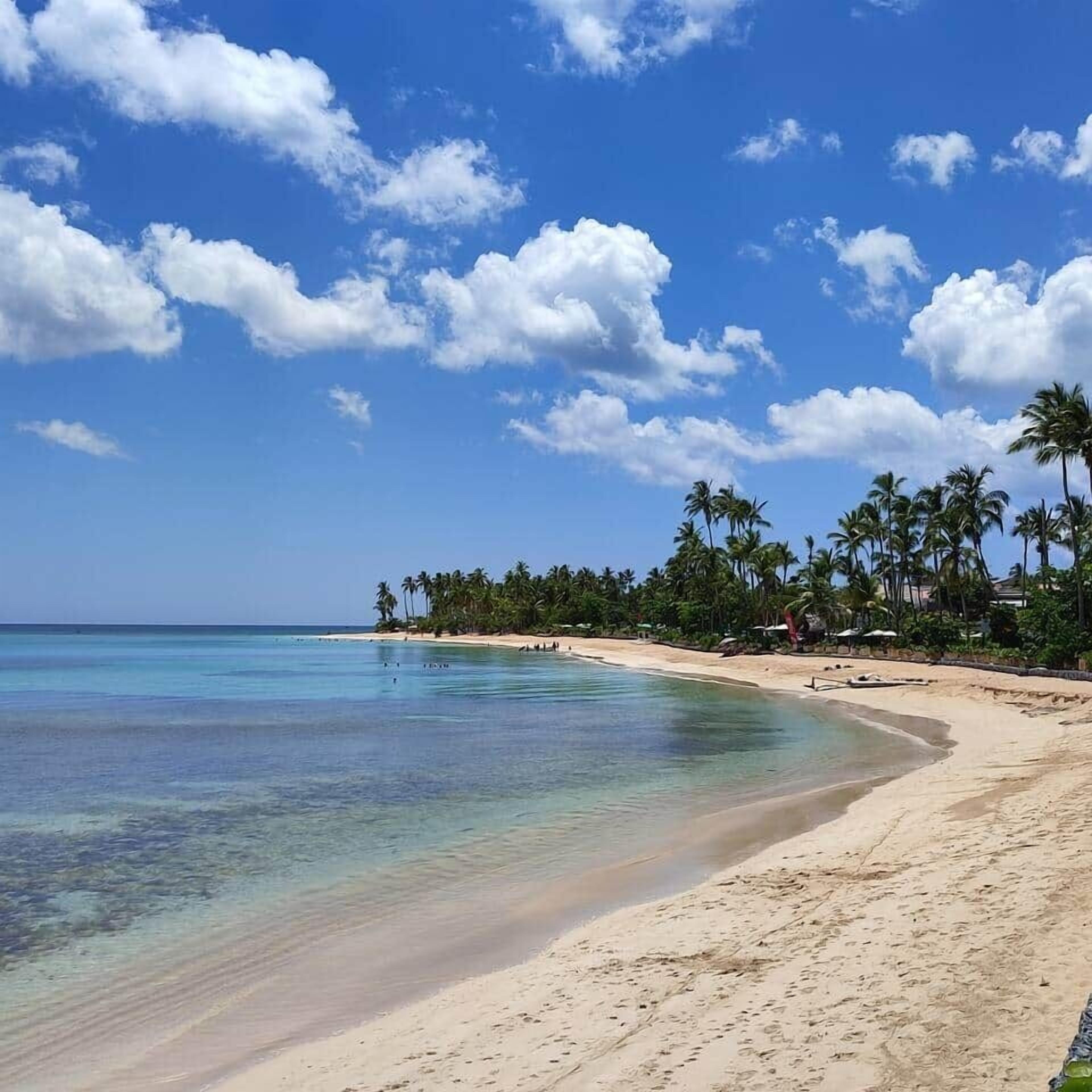 Beach nearby, sun loungers