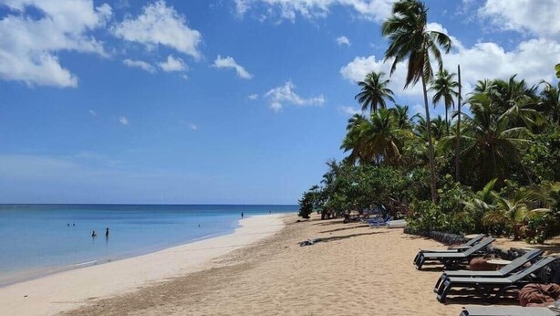 Une plage avec une eau d’un bleu limpide, un rivage sablonneux et des palmiers.