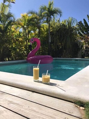 Pool - Casa Leanna, close to the beaches and the village (Las Terrenas)