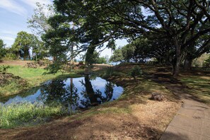 A serene park with a pond, trees, and a concrete path. - Sea Turtle Suite - Steps from Carlsmith Beach! (Hilo)