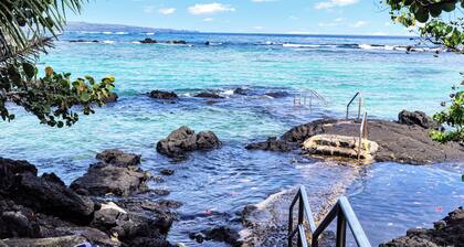 Sea Turtle Suite - Steps from Carlsmith Beach!