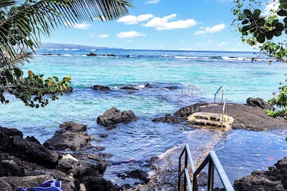 Sea Turtle Suite - Steps from Carlsmith Beach!