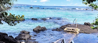 Sea Turtle Suite - Steps from Carlsmith Beach!