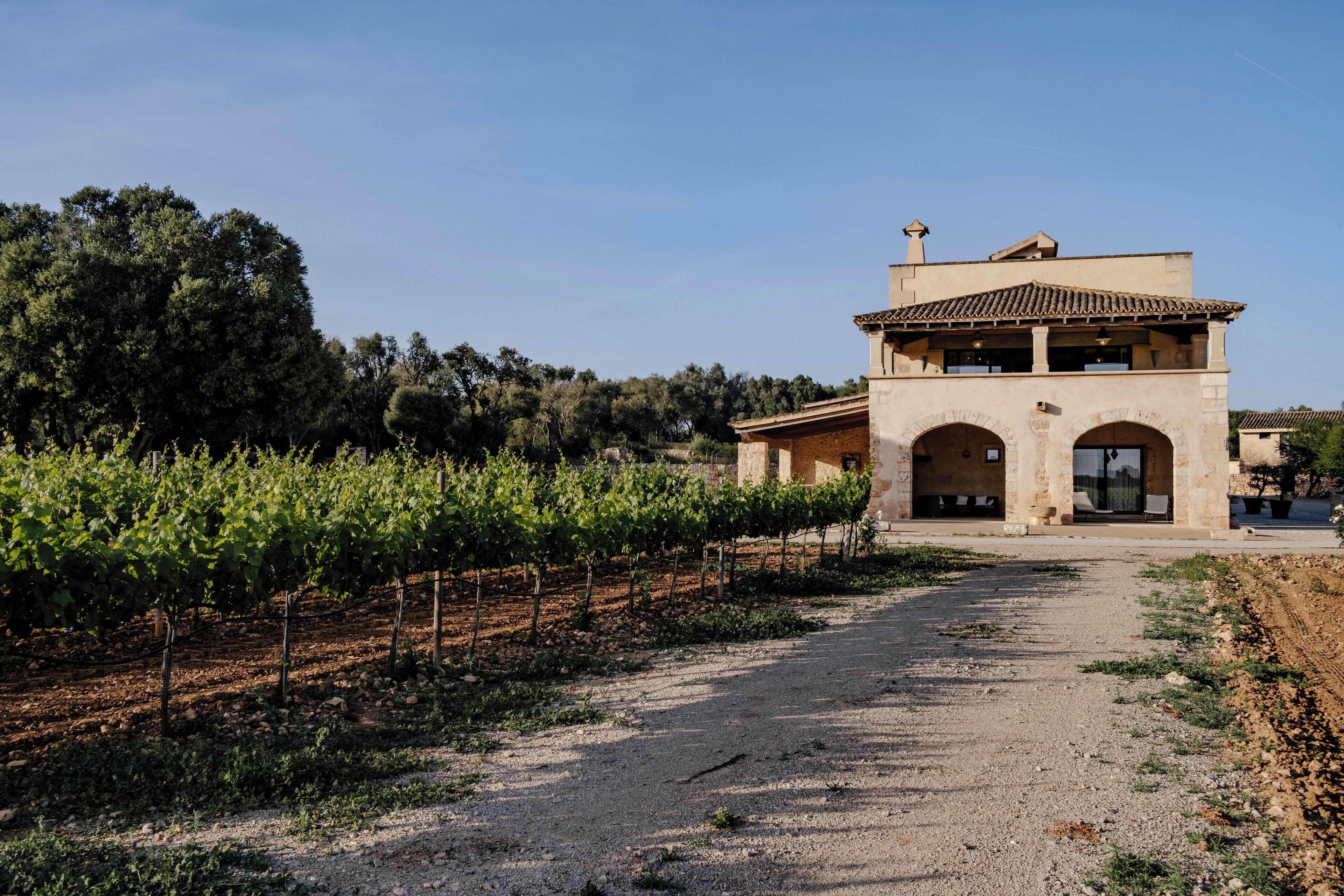 المنطقة المحيطة بالمنشأة