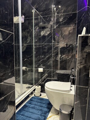 Shower, hair dryer, bidet, towels