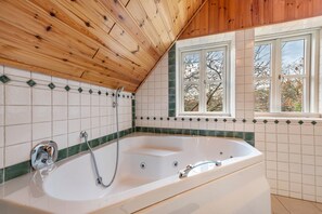 Shower, hair dryer, towels - Country House: Garden, Fireplace & Sauna (Hude)