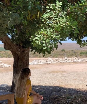 Property grounds - Stone house with private pool in Agua Amarga (Almeria)