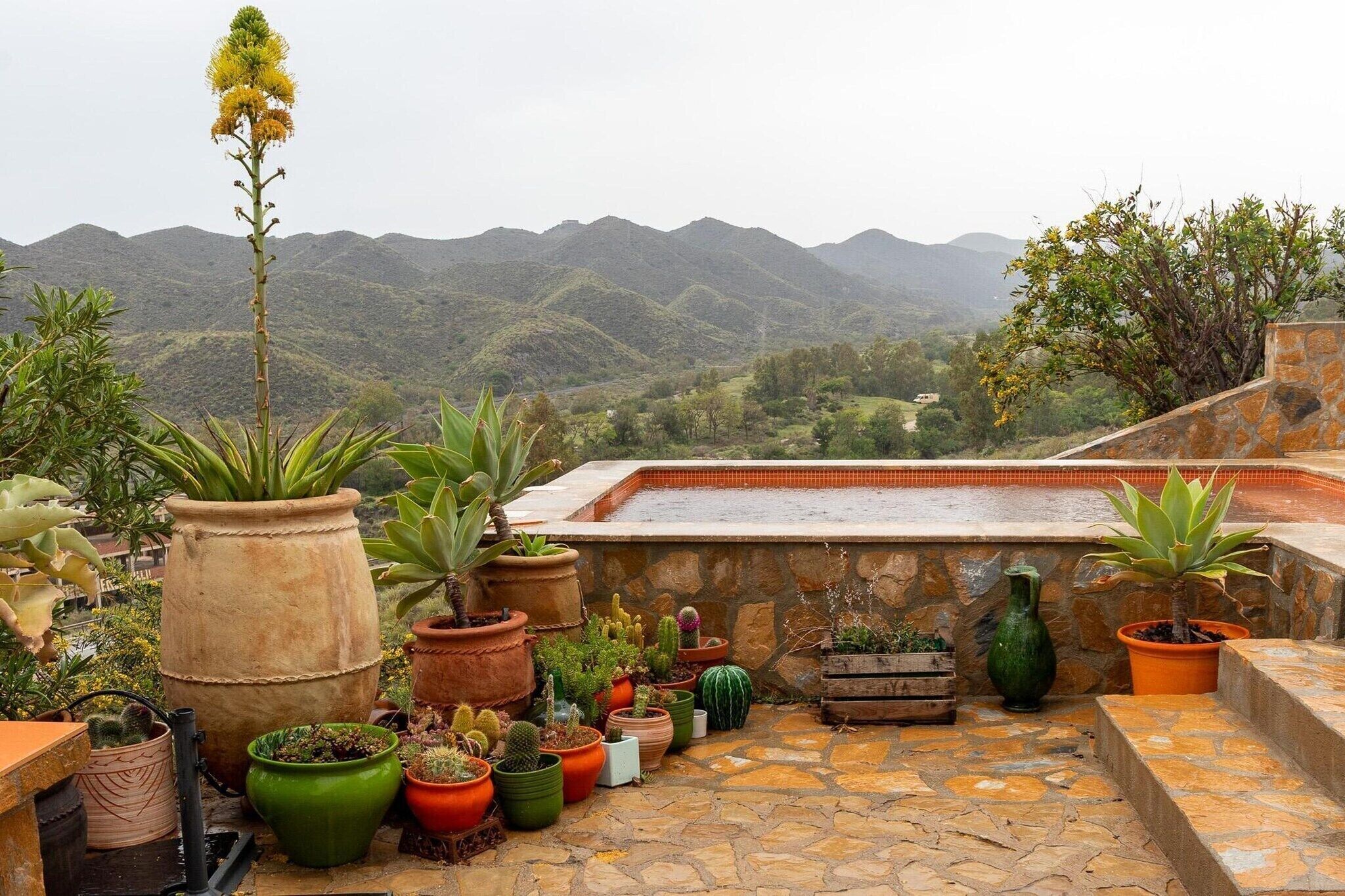 A rooftop garden with various potted plants and a view of distant mountains.