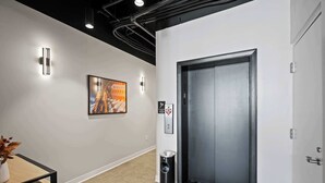 A modern hallway with a carpeted floor, a framed picture on the wall, a trash bin, and an elevator door.