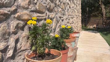 Àrea exterior de l'allotjament