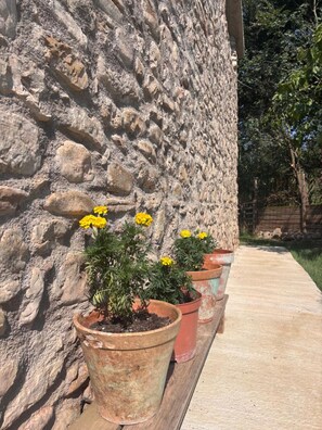 Property grounds - Country-Style House in the Heart of Catalonia (Avinyó)