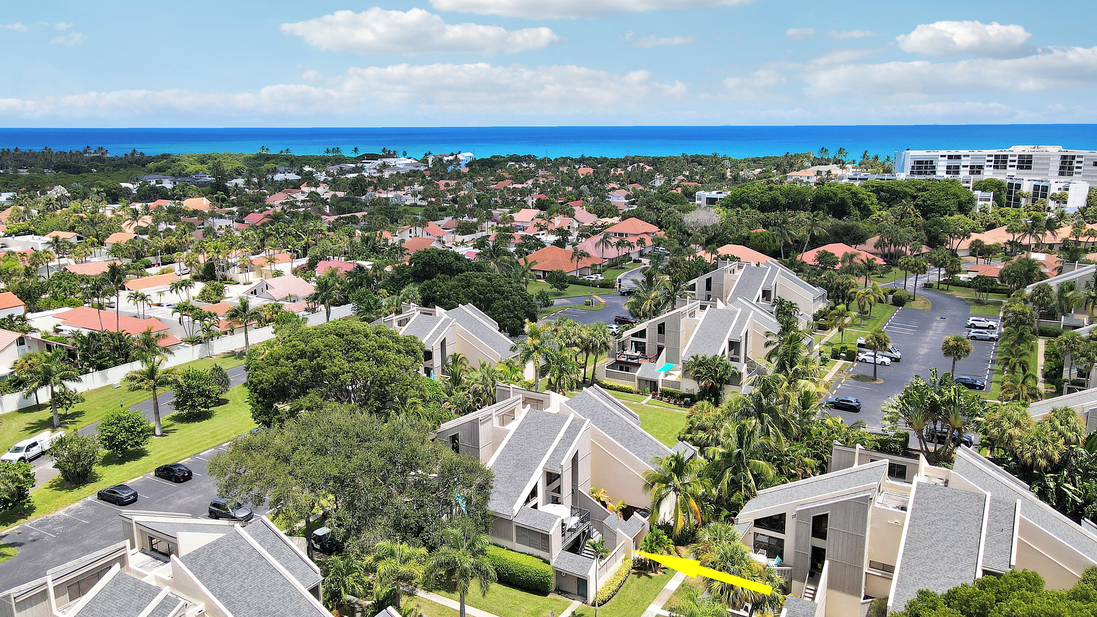 A residential area with houses, a road, and a view of the ocean.
