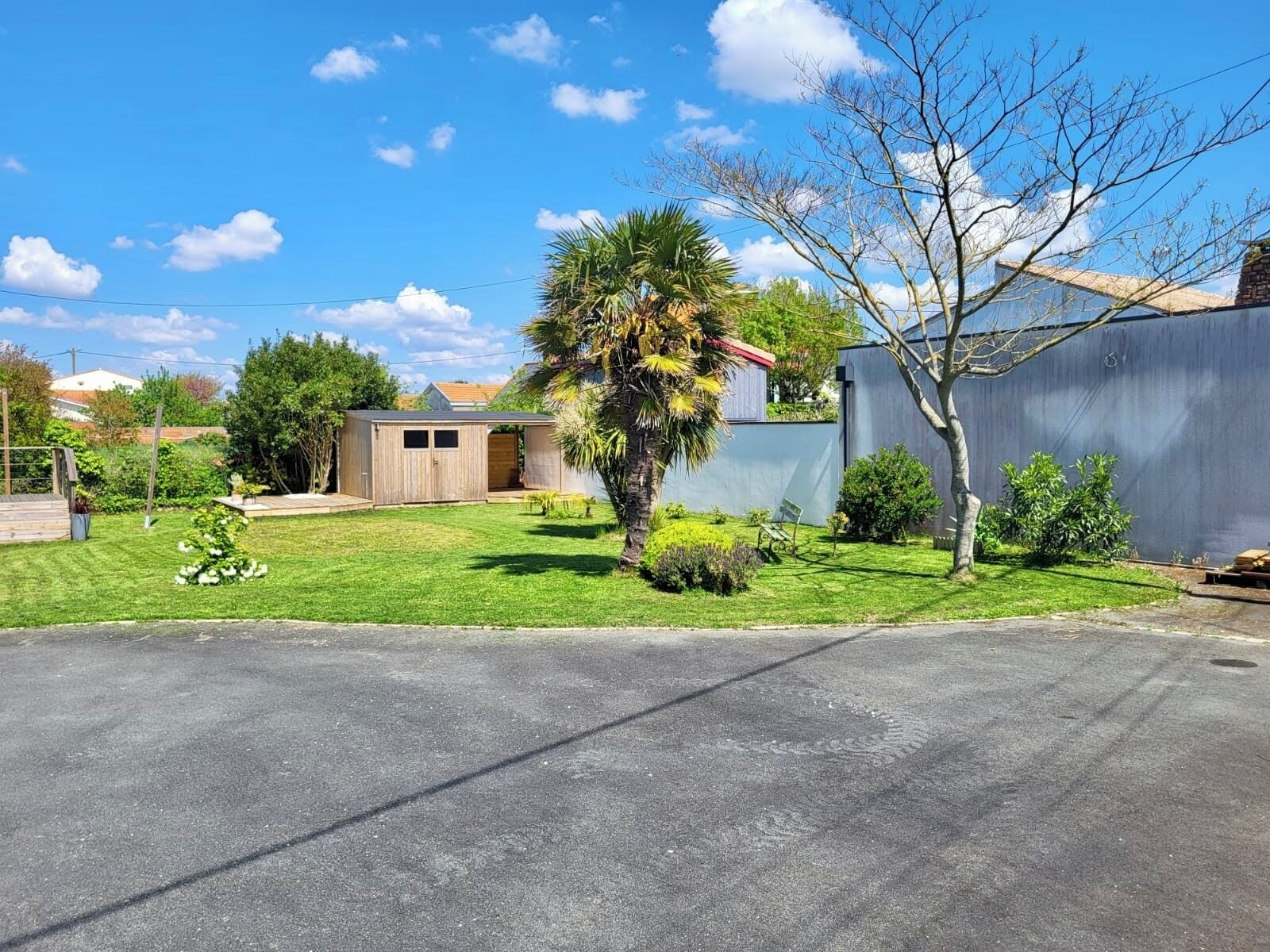A residential property with a well-maintained lawn, a wooden shed, and a palm tree.