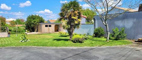 A residential property with a well-maintained lawn, a wooden shed, and a palm tree.