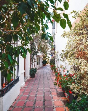 City view - Hostal Casa Miguel Marbella (Marbella)