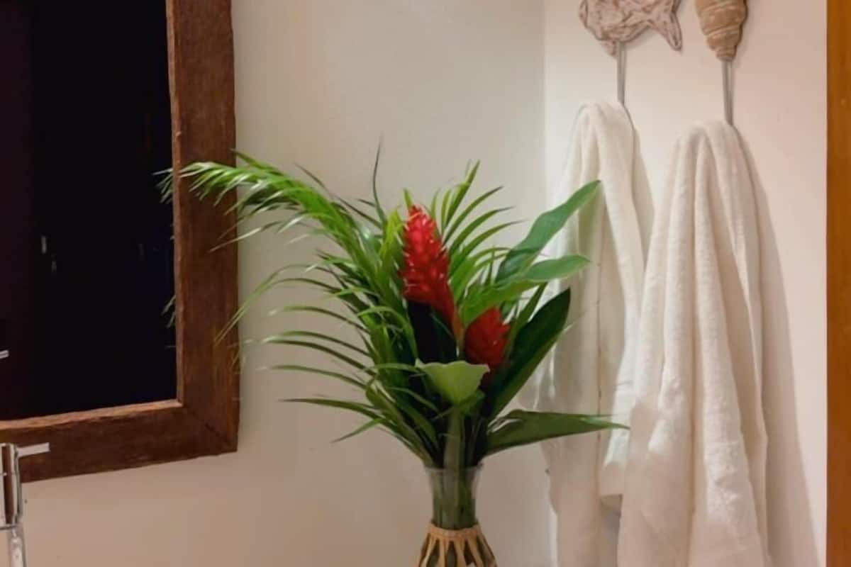 Habitación estándar | Baño | Regadera, amenidades de baño gratuitas, toallas, jabón