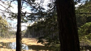 Miscellaneous - Welcoming Cabin Rental for a Rural Vacation to Schroon Lake, New York (Schroon Lake)