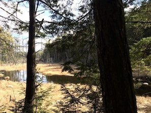Miscellaneous - Rustic Vacation Rental for Couples near Hoffman Notch, New York (Schroon Lake)