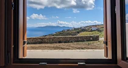 Under The Palm Tree Boutique Studios