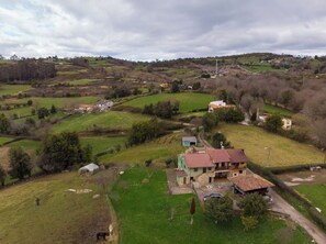 A rural landscape with a house featuring a red-tiled roof, surrounded by green fields and scattered trees. - AH Townhouse "La Casina de Cués". VV-1762-AS (Asturias)