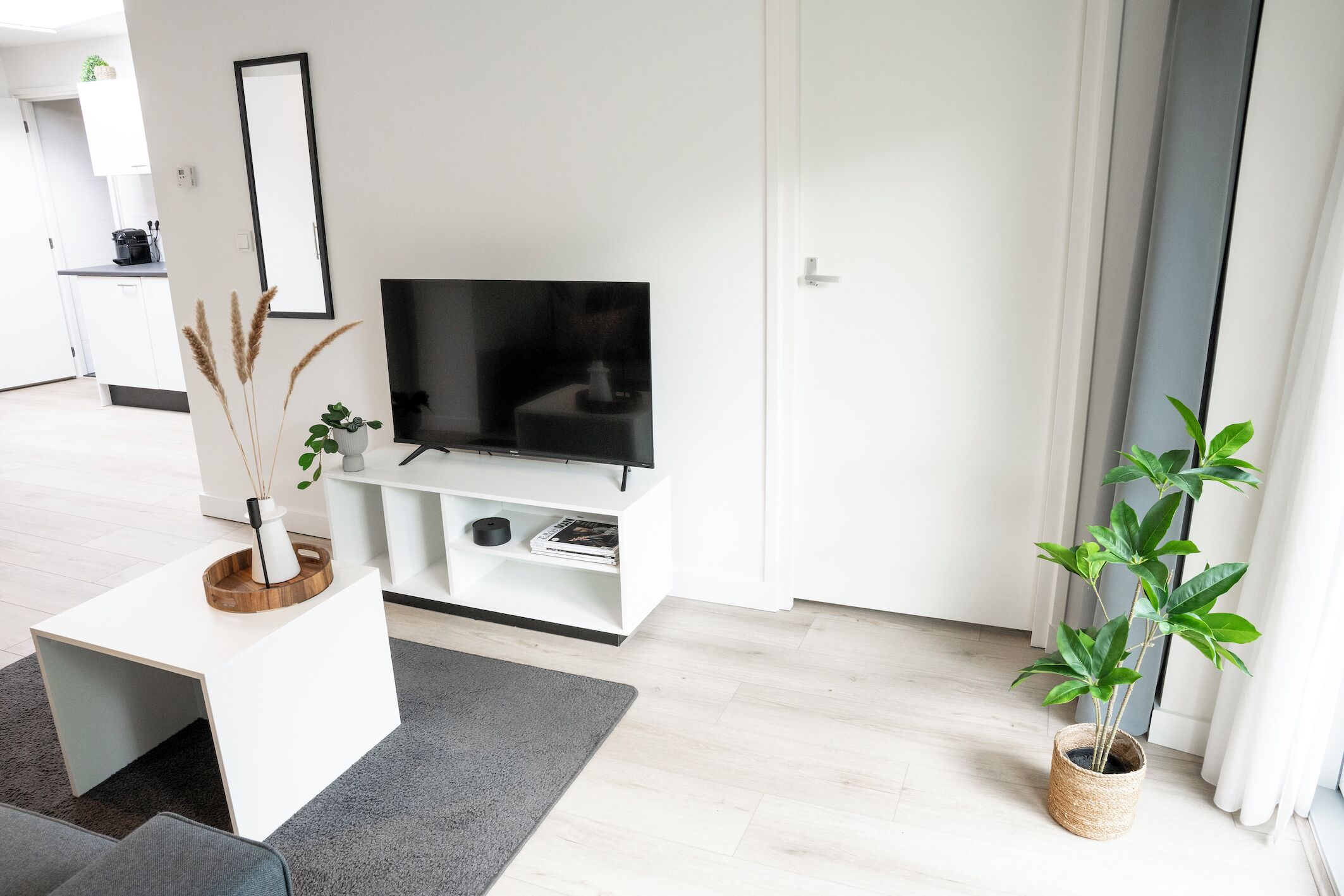 Een moderne woonkamer met een flatscreen televisie, een witte tv-meubel, een klein bijzettafeltje met een vaas en planten, een grijs vloerkleed, en een potplant bij het raam.