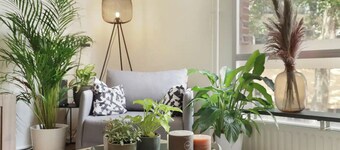 Stay in the heart of Tilburg at Heuvel—just a short walk to Poppodium 013, shops, restaurants, and the station. Perfect for concerts, city trips, or business stays! Located in the heart of Tilburg on Heuvelstraat – the city’s lively main street.