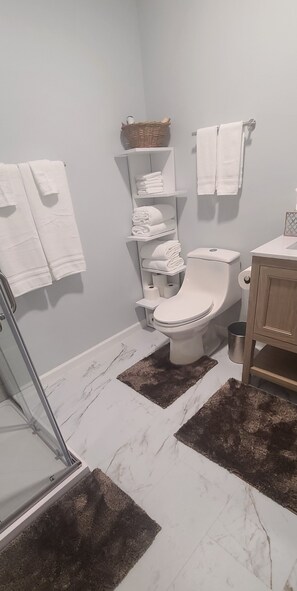 Regadera, secadora de cabello, toallas, jabón