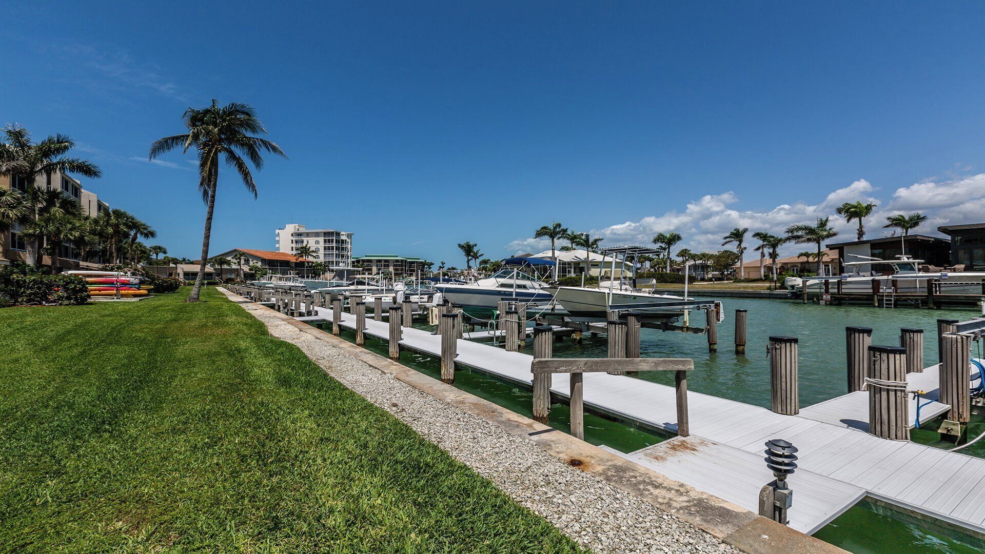 A marina with boats docked, a grassy area, and palm trees.