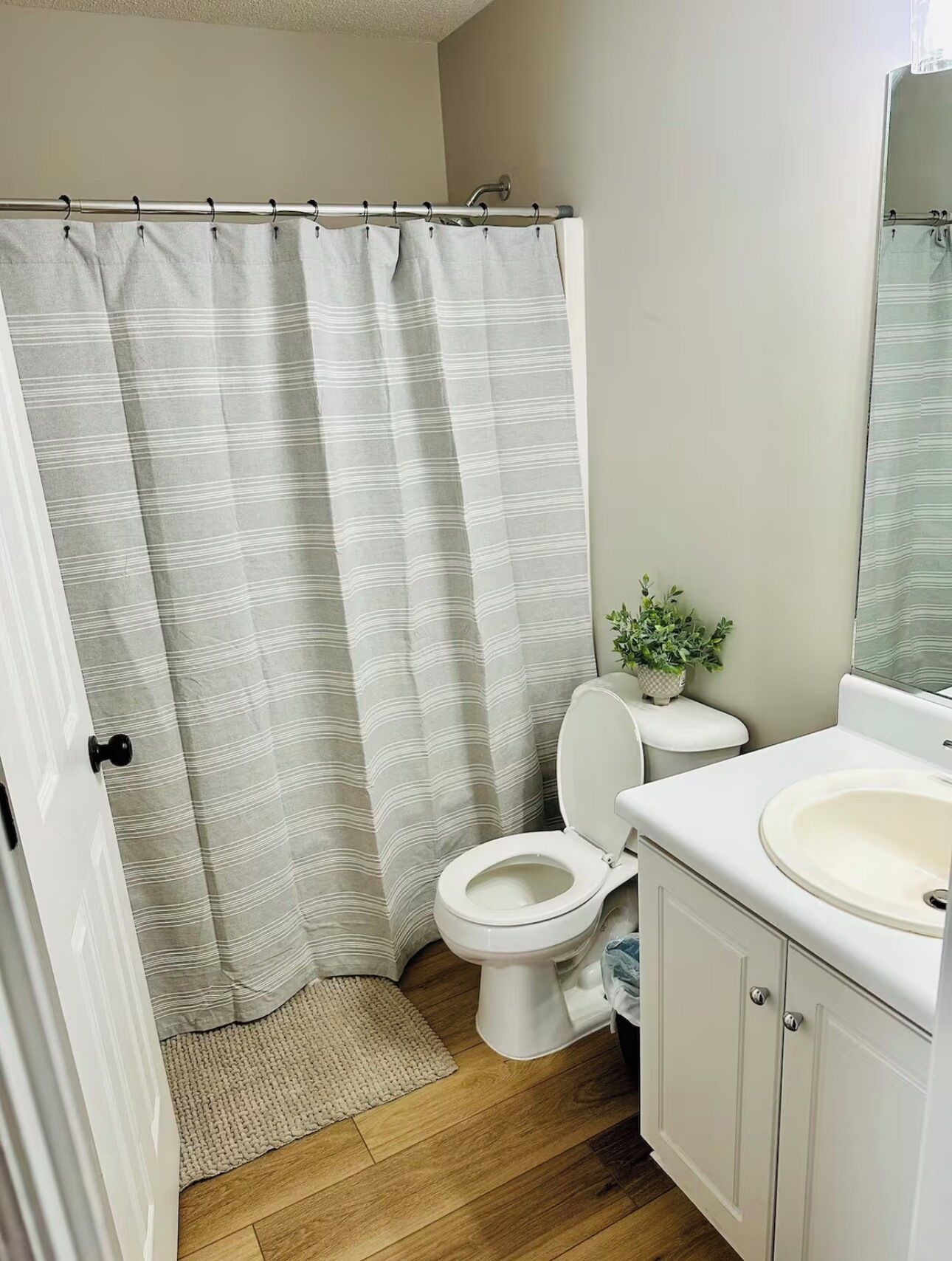A bathroom with a shower curtain, toilet, sink, and a small potted plant.