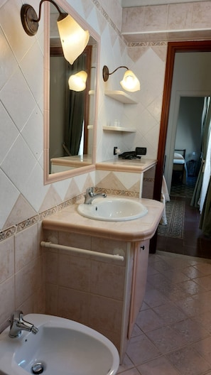 Shower, hair dryer, bidet, towels