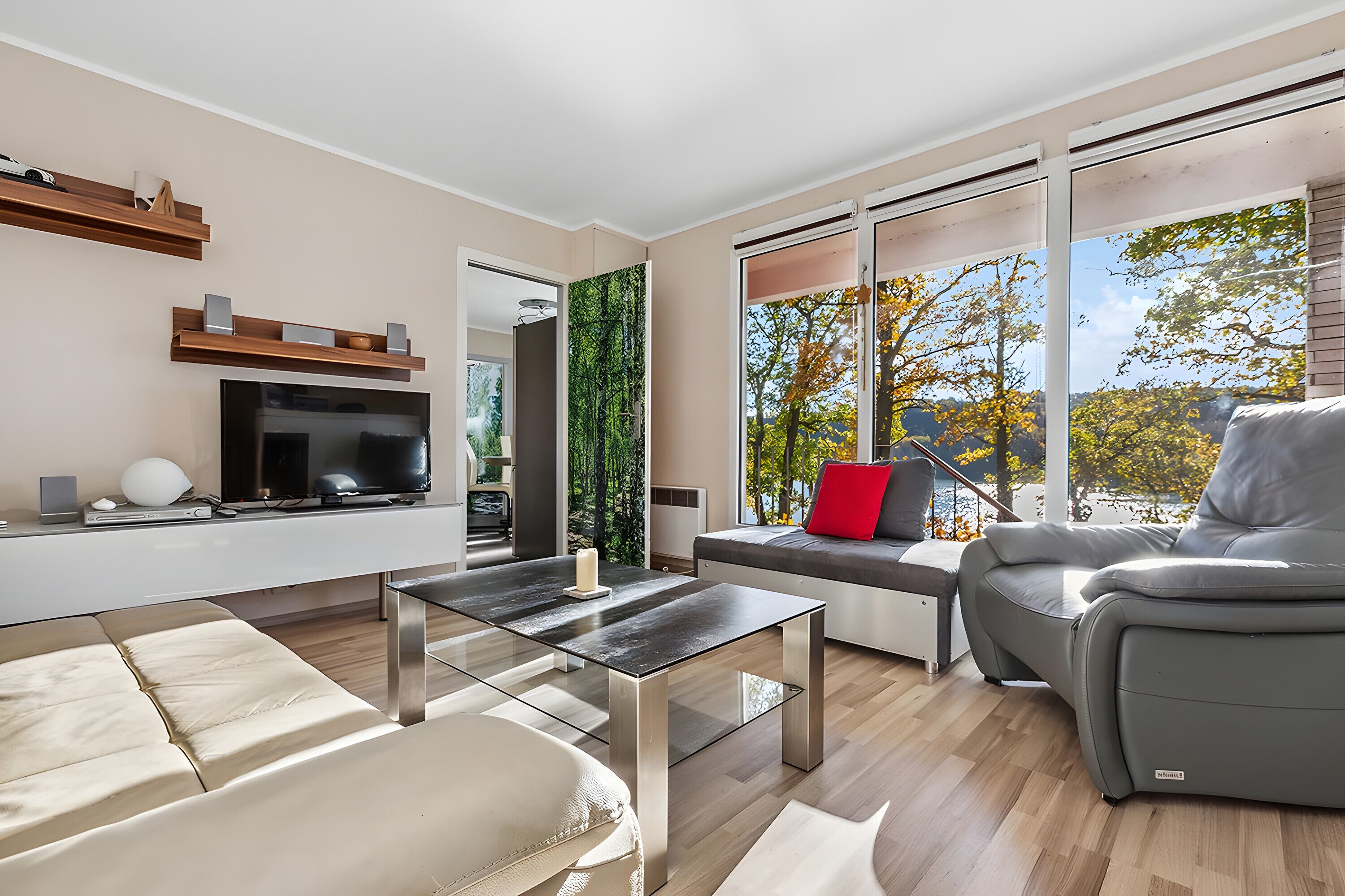 TV, caminetto, impianto stereo