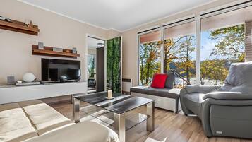 Fernseher, Kamin, Stereoanlage