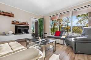 Tv, eldstad och en stereo