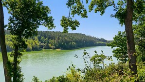 Une rivière bordée d’arbres et une colline boisée.