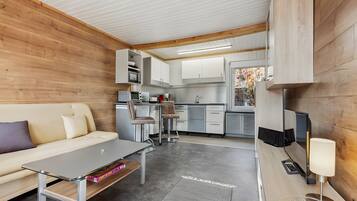 Fernseher, Stereoanlage