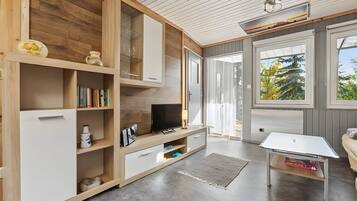 Fernseher, Stereoanlage