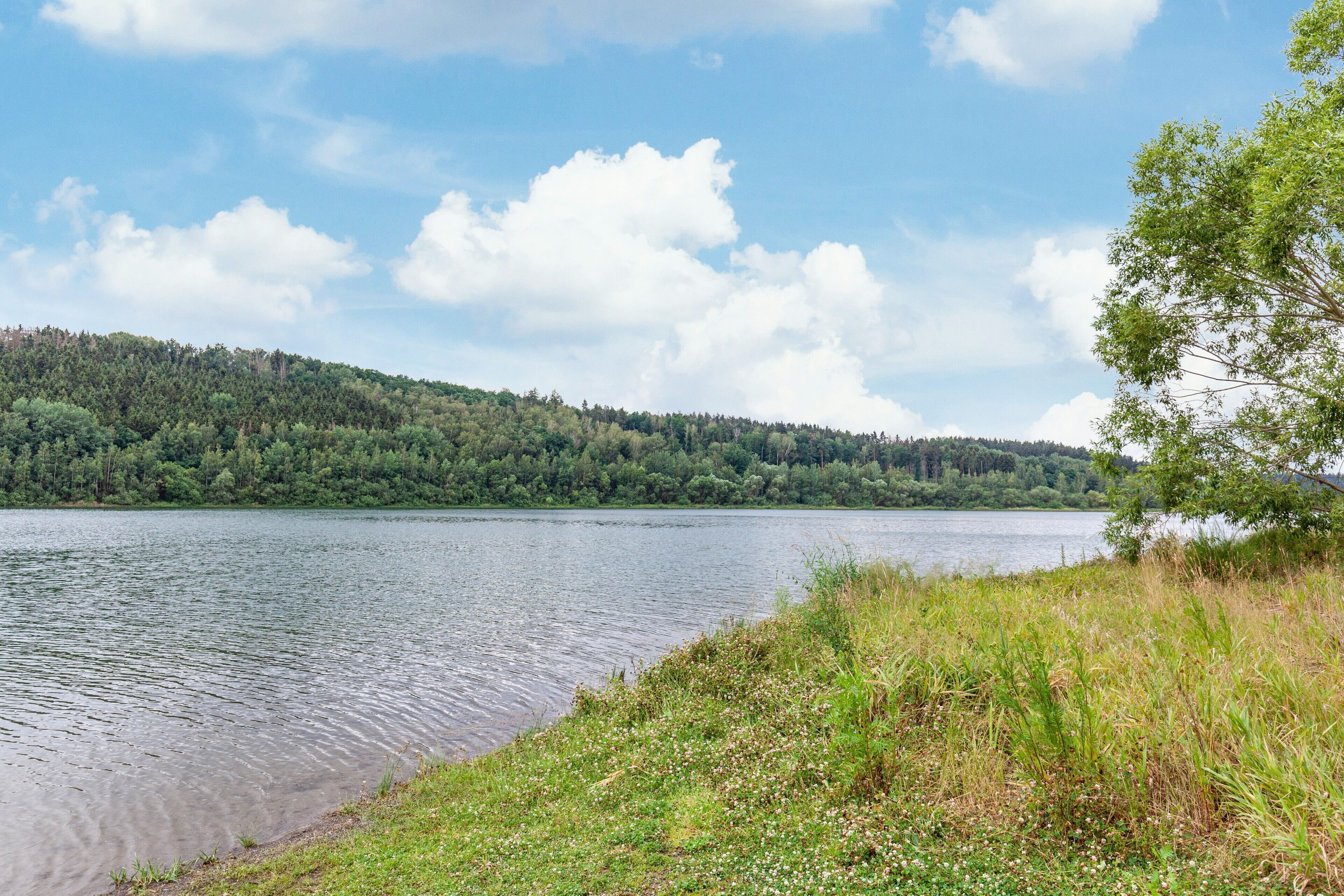 A lake with a forested hill in the background.