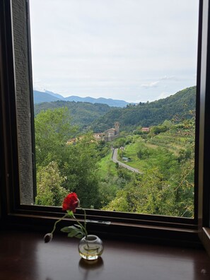 A view through a window of a valley with a road, a church, and greenery. - A beautifully restored villa in the heart of the Garfagnana with private pool (Toscana)