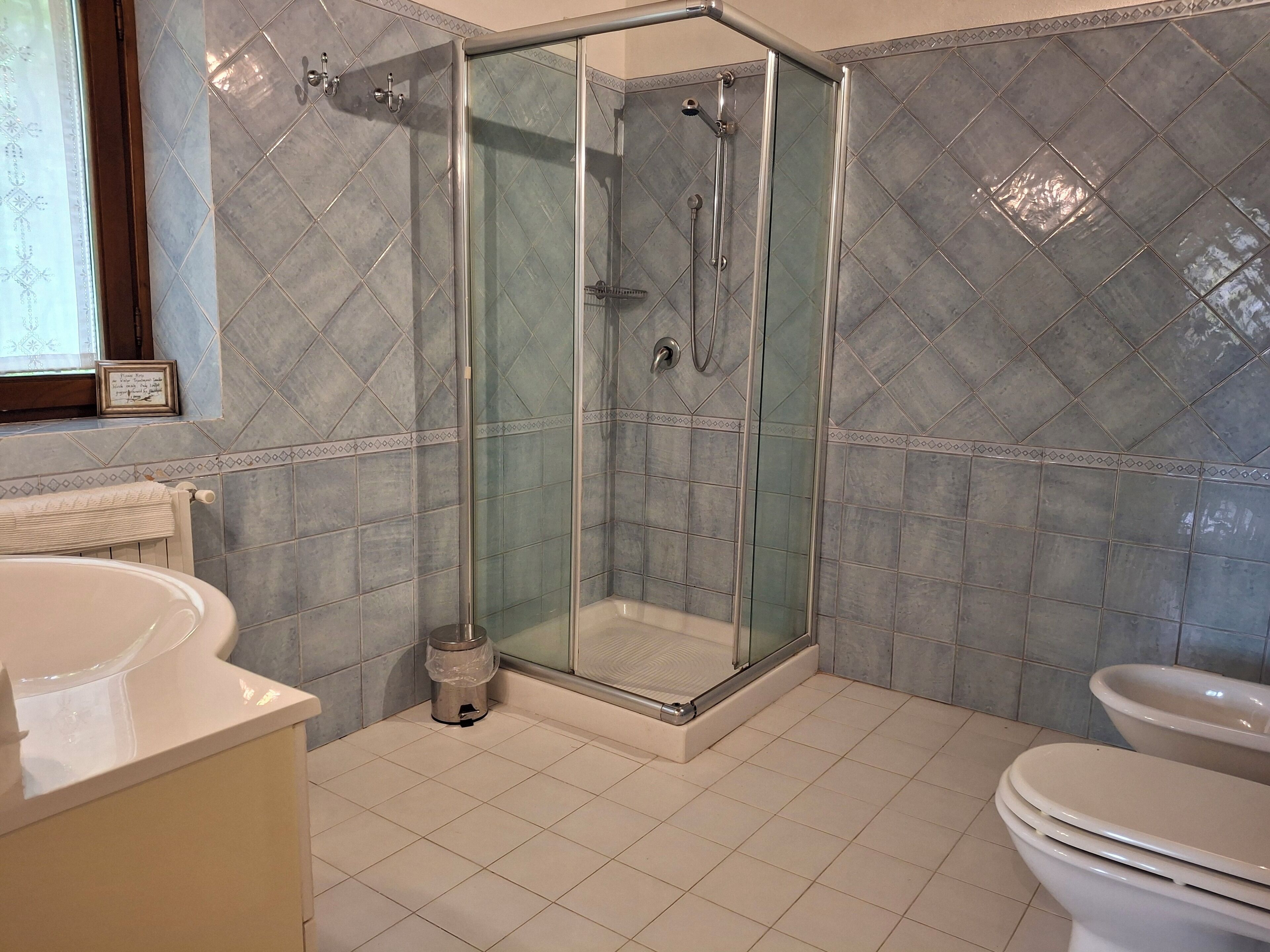 Un baño con ducha envuelta en vidrio, un lavamanos blanco y un inodoro.