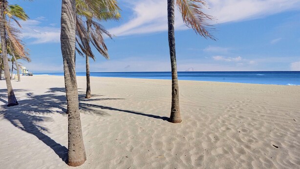 Una spiaggia sabbiosa con palme e un cielo azzurro limpido.
